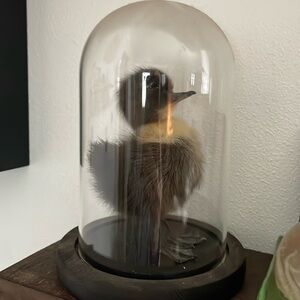 Duckling odditie Halloween decor